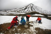 Árvore fossilizada na Antártica